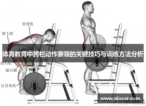 体育教育中跨栏动作要领的关键技巧与训练方法分析
