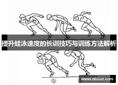 提升蛙泳速度的长训技巧与训练方法解析