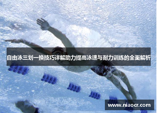 自由泳三划一换技巧详解助力提高泳速与耐力训练的全面解析