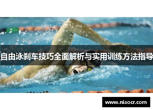 自由泳刹车技巧全面解析与实用训练方法指导