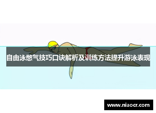 自由泳憋气技巧口诀解析及训练方法提升游泳表现