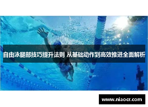 自由泳腿部技巧提升法则 从基础动作到高效推进全面解析