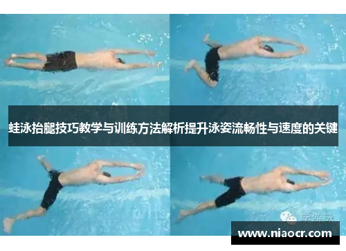 蛙泳抬腿技巧教学与训练方法解析提升泳姿流畅性与速度的关键