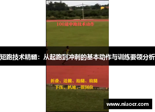 短跑技术精髓：从起跑到冲刺的基本动作与训练要领分析