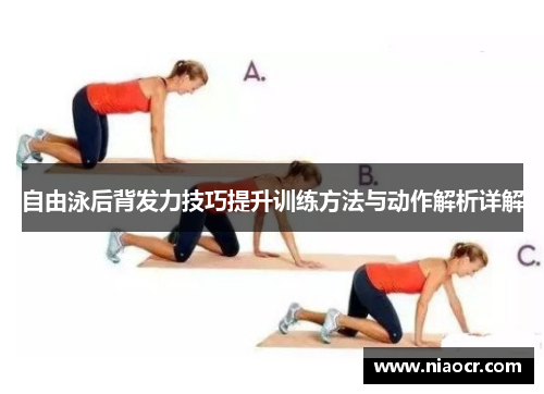 自由泳后背发力技巧提升训练方法与动作解析详解